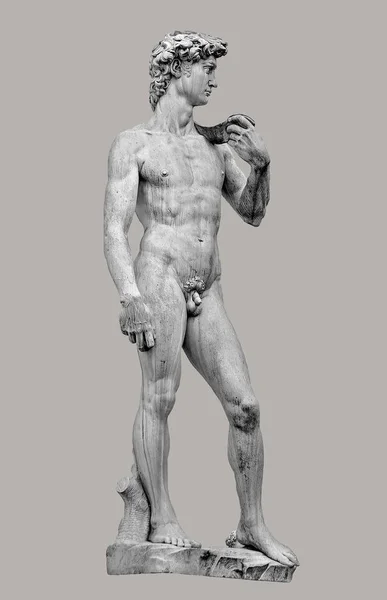 Statue Handsome Strong David Piazza Della Signoria Florence Isolated Even — Stock Photo, Image