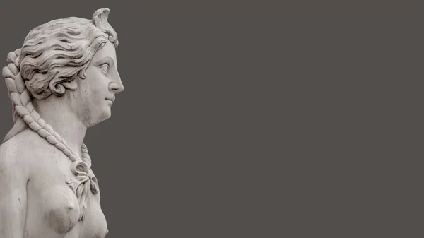 Статуя Красиві Сфінкс Центрі Потсдама Ізольовані Гладкою Навіть Фону Німеччина — стокове фото