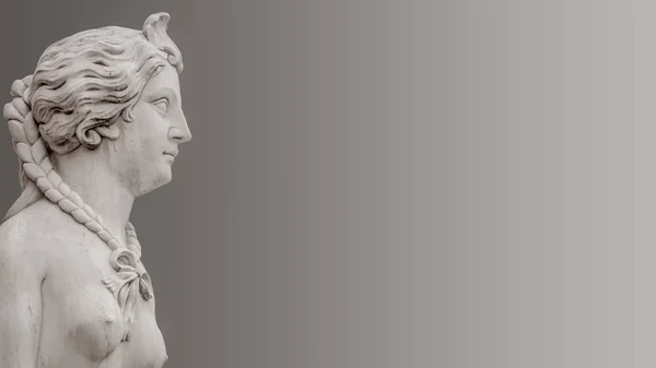 Szobor Gyönyörű Szfinx Belvárosában Potsdam Elszigetelt Sima Még Háttér Németország — Stock Fotó
