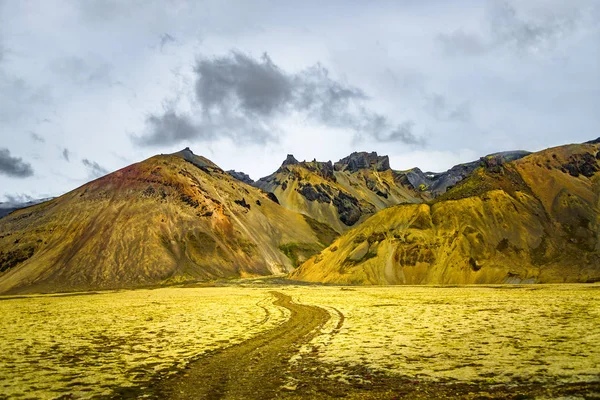 Nature Sauvage Dans Parc National Vatnajokull Dans Sud Islande — Photo