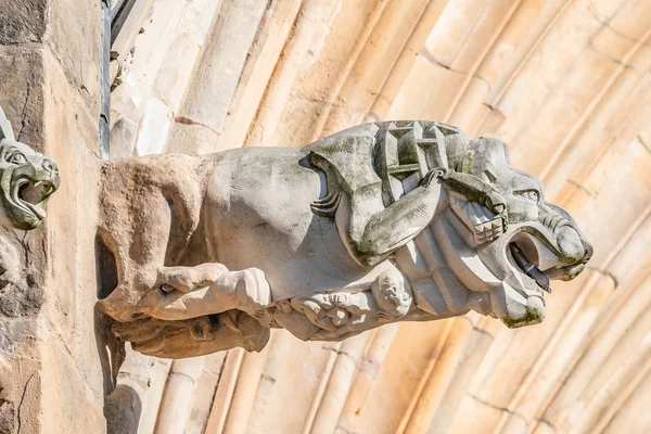 Figura del tejado de la gárgola de miedo en la fachada principal de la catedral en Mag — Foto de Stock