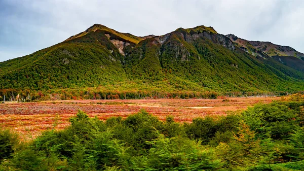 Panorámás kilátás a varázslatos, színes, mesebeli erdőre Tierra de — Stock Fotó