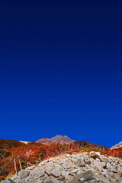 托雷斯德尔佩恩国家公园，其森林和黄金峰 — 图库照片