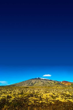 Snaefellsjoekull volkanik tepe ve İzlanda renkli ve vahşi l