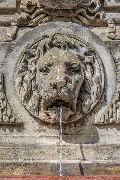 Ancient fountain with a lion head and cold clean water, Magdebur