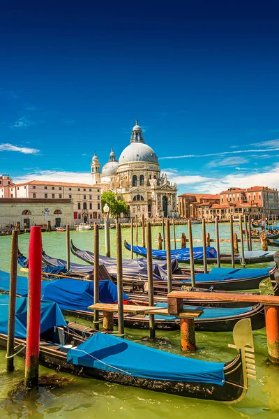 Kleurrijk uitzicht op Basilica di Santa Maria della Salute en drukke G — Stockfoto