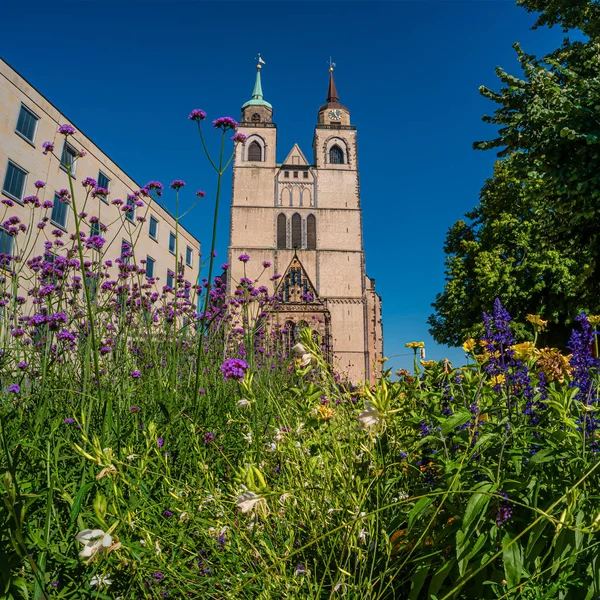 Kościół św Jochannis (Jochanniskirche) i kwiatów w g — Zdjęcie stockowe