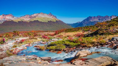 Tierra de büyülü renkli masal ormanıpanoramik görünümü