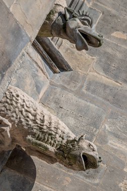 Katedralin ana cephesinde korkunç gargoyles eski çatı figürleri 