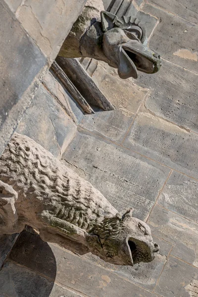 Antiguas figuras de techo de gárgolas de miedo en la fachada principal de la catedral — Foto de Stock