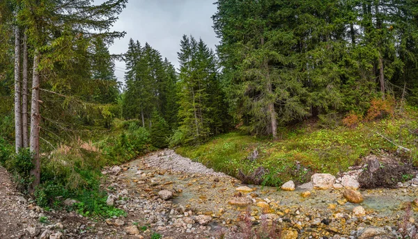 Magiczny las w Dolomitach jesienią, Południowy Tyrol, Włochy — Zdjęcie stockowe