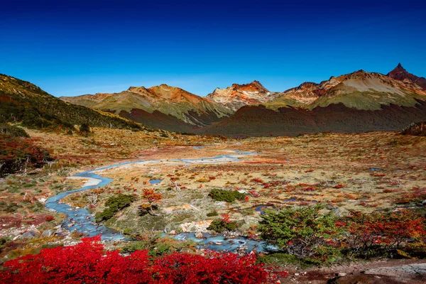 Tierra de büyülü renkli masal ormanıpanoramik görünümü — Stok fotoğraf
