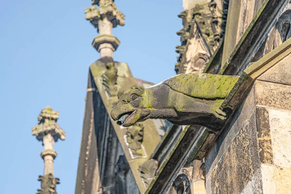 Dachfigur Des Gruseligen Wasserspeiers Der Hauptfassade Des Doms Magdeburg Bei — Stockfoto