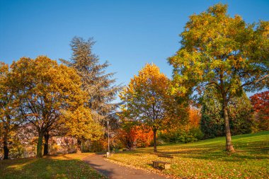 Almanya 'nın altın sonbaharı boyunca Heidelberg parkında göz kamaştırıcı kırmızımsı gün batımı