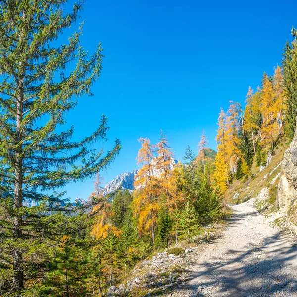 Magiczna Przyroda Dolomitach Parku Narodowym Trzy Szczyty Tre Cime Drei — Zdjęcie stockowe