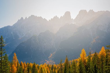 Dolomitler 'in günbatımında ve altın sonbahar, Güney Tyrol, İtalya' da Dolomitler 'deki Üç Tepe (Tre Cime, Drei Zinnen) panoramik manzara