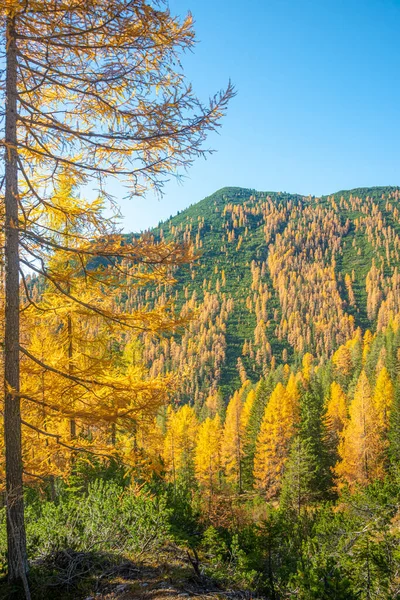 Магічна Природа Доломітах Національному Парку Три Піки Tre Cime Drei — стокове фото