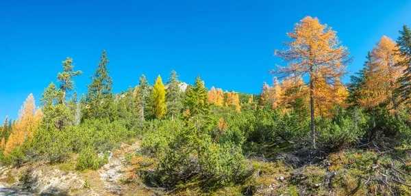 Panoramiczny Widok Magiczną Przyrodę Dolomitach Parku Narodowym Trzy Szczyty Tre — Zdjęcie stockowe