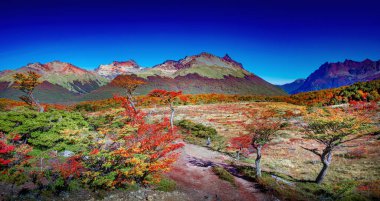 Tierra del Fuego Ulusal Parkı, Patagonya, Arjantin, Altın Sonbahar 'da Avustralya ormanları, Peatbataklıklar, ölü ağaçlar, buzullar ve yüksek dağlarla panoramik manzara