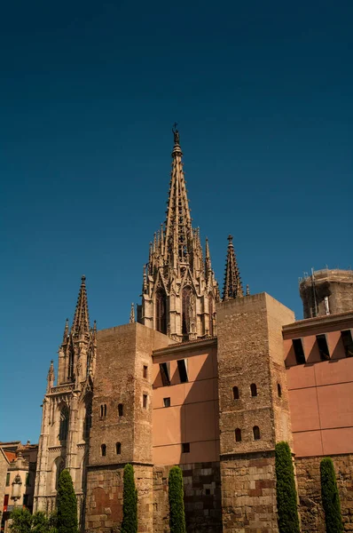 Katedra Świętego Krzyża Eulalii Barcelonie Hiszpania — Zdjęcie stockowe