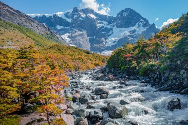 Güneşli bir günde Torres del Paine Ulusal Parkı 'ndaki dağ nehri ve mavi gökyüzü, Patagonya, Şili