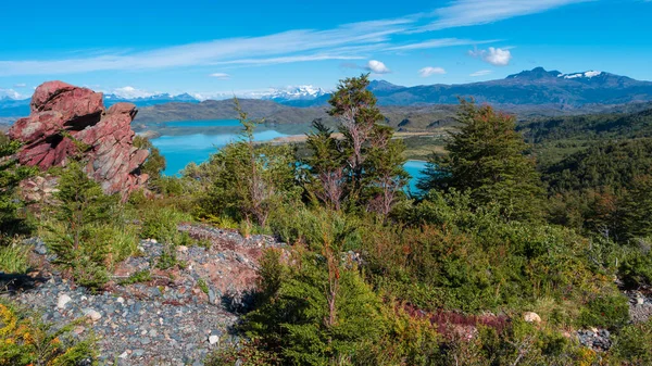 Panoramatický Výhled Horskou Tyrkysovou Lagunu Národním Parku Torres Del Paine — Stock fotografie