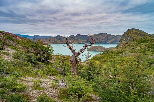 Güneşli Bir Günde Torres Del Paine Ulusal Parkı Ndaki Dağ — Stok fotoğraf