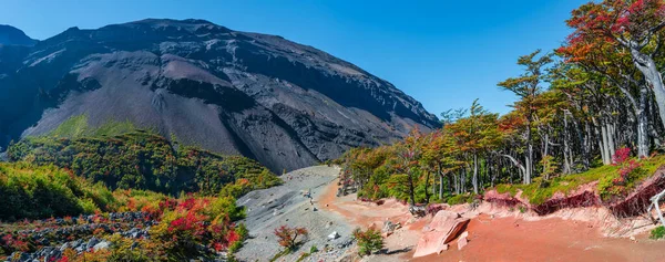 Panorámás Kilátás Szürreális Hegyek Erdők Torres Del Paine Nemzeti Park — Stock Fotó