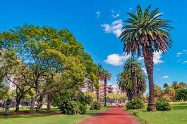 Gündüz ve eski Buenos Aires 'in şehir manzarası iş ve Palermo bölgesinde yaşamak, güzel doğa, parklar ve geleneksel kültür mimarisi güneşli bir günde ve mavi gökyüzü, Arjantin
