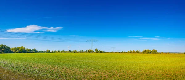 Panoramiczny Widok Pięknym Zielonym Krajobrazem Gospodarstwa Turbinami Wiatrowymi Wytwarzania Energii — Zdjęcie stockowe