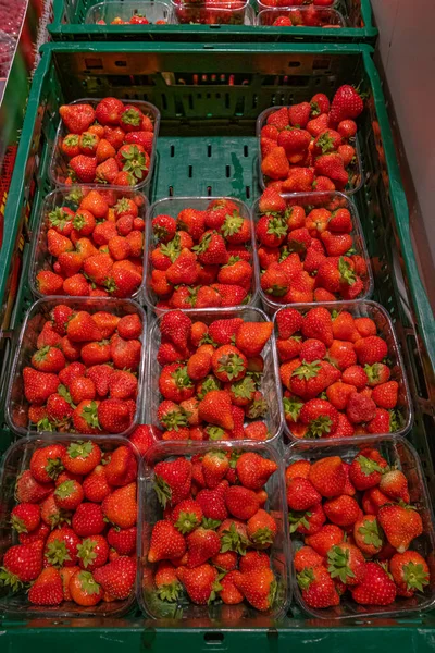 Bannière Avec Fond Fraise Rouge Bio Fraîche Dans Petits Paniers — Photo