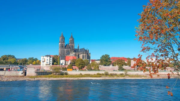 Panoramic View Downtown Magdeburg Old Town Elbe River Magnificent Cathedral — Stock Photo, Image