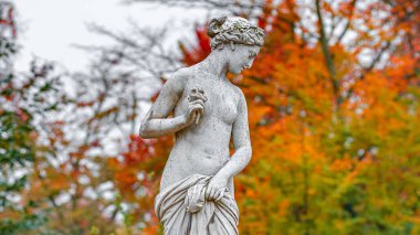 Şehirli, yarı çıplak Yunan ya da İtalyan Rönesans döneminin heykeli. Şehir parkında çiçekli kadın Golden Autumn, Potsdam, Almanya 'ya gitti.