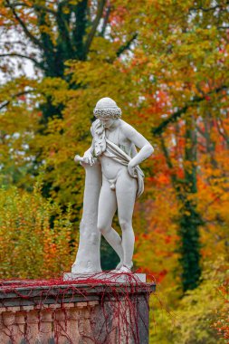 Rönesans dönemine ait eski bir heykel. Aslan derisi avcı, altın sonbahar şehir parkında av tüpü kullanıyor. Potsdam, Almanya 'da.