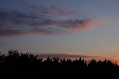 Turuncu ve pembe bulutlarla ormanın üzerinde erken gün doğumu.