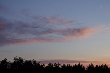 Turuncu ve pembe bulutlarla ormanın üzerinde erken gün doğumu.