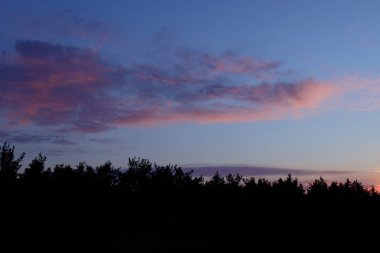Turuncu ve pembe bulutlarla ormanın üzerinde erken gün doğumu.
