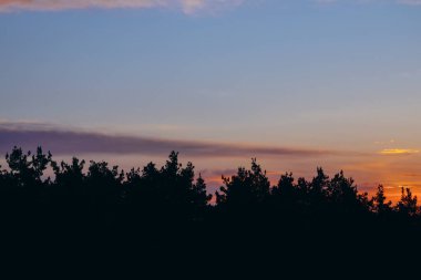 Turuncu ve pembe bulutlarla ormanın üzerinde erken gün doğumu.