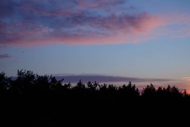 Turuncu ve pembe bulutlarla ormanın üzerinde erken gün doğumu.
