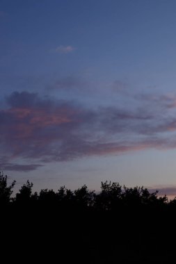 Turuncu ve pembe bulutlarla ormanın üzerinde erken gün doğumu.