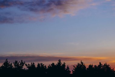 Turuncu ve pembe bulutlarla ormanın üzerinde erken gün doğumu.