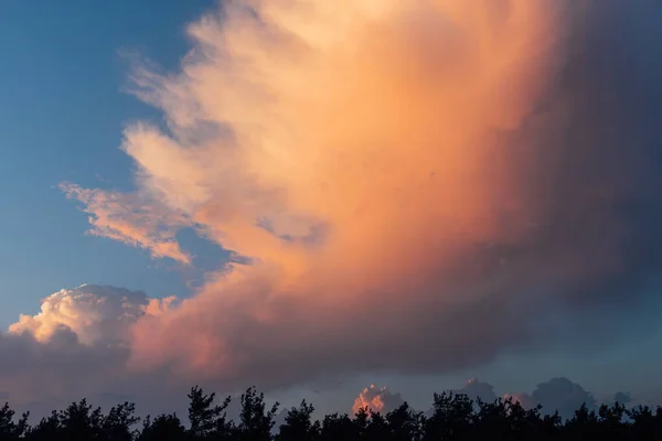 Beau Coucher Soleil Sur Forêt Avec Des Nuages Dorés — Photo