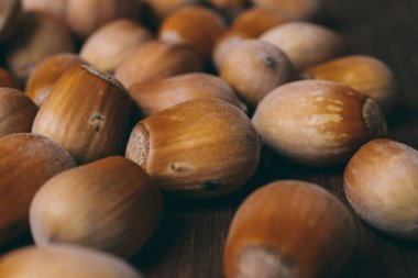 Fındık yığını. Fındık. Tam kaçıklar. Makro fotoğraf.