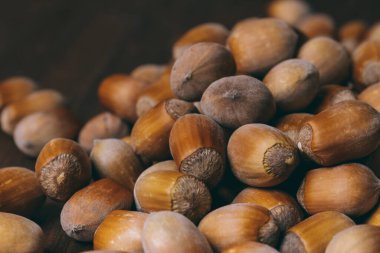 Fındık yığını. Fındık. Tam kaçıklar. Makro fotoğraf.