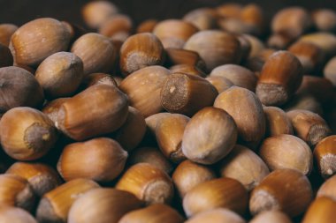 Fındık yığını. Fındık. Tam kaçıklar. Makro fotoğraf.