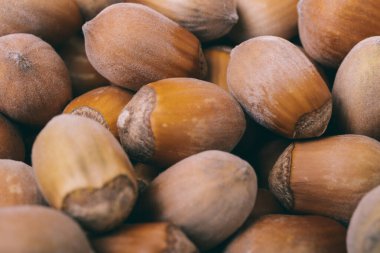 Fındık yığını. Fındık. Tam kaçıklar. Corylus Avellana. Makro fotoğraf, kapat..