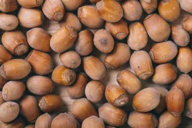 Fındık yığını. Tam kaçıklar. Corylus Avellana. Makro fotoğraf, yakın çekim, ahşap masanın üstü..