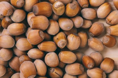 Fındık yığını. Tam kaçıklar. Corylus Avellana. Makro fotoğraf, yakın çekim, ahşap masanın üstü..