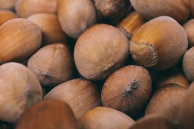 Fındık yığını. Fındık. Tam kaçıklar. Corylus Avellana. Makro fotoğraf, kapat..