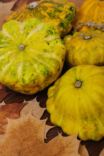 Kolorowe Pattypan Squash Jesiennych Żółtych Liści Drewnianym Tle — Zdjęcie stockowe